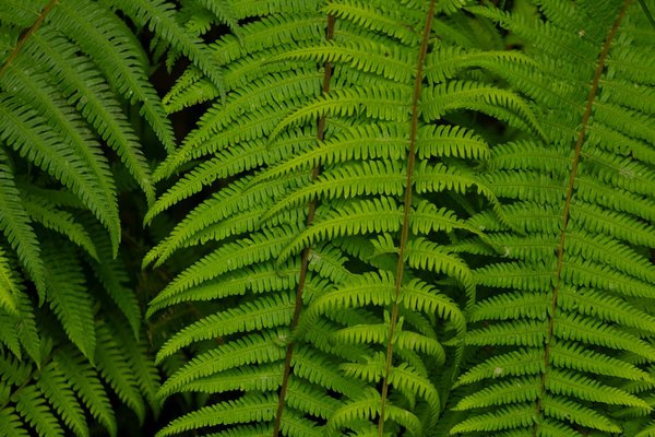 Le rôle de l'art contemporain dans l'éducation