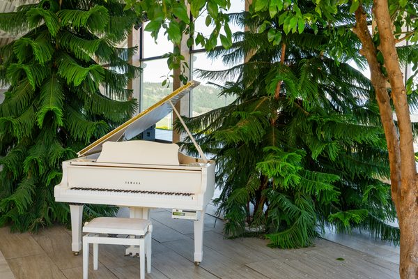 Le piano à queue Yamaha GB1K : une expérience musicale unique