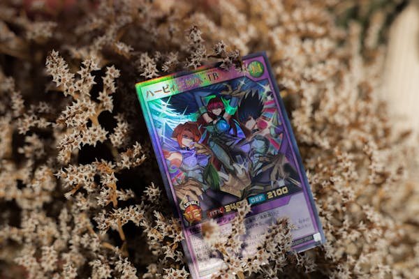 Découvrez les alternatives aux cartes à collectionner pendant la maintenance